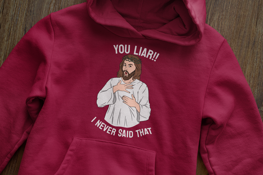 You liar - Hoodie